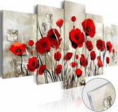 Afbeelding op acrylglas - Rode klaprozen, Rood/Beige,  5luik