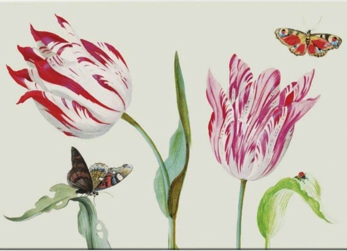 Placemat: Tulpen/Tulips, Jacob Marrel, Collection Rijksmuseum
