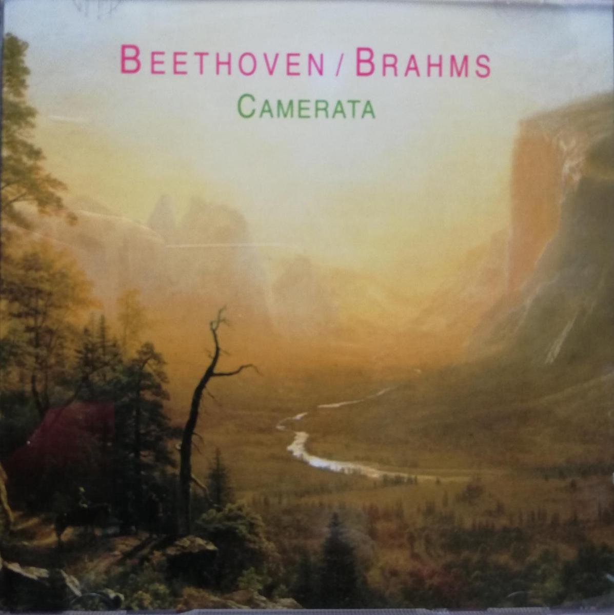 Beethoven & Brahms – Camerata – CD