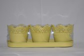 tray met 3 plantenpotjes bloemmotief geel 32 x 10 cm voor tuin en balkon