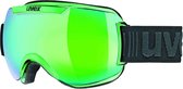 UVEX Downhill 2000 goggles groen
