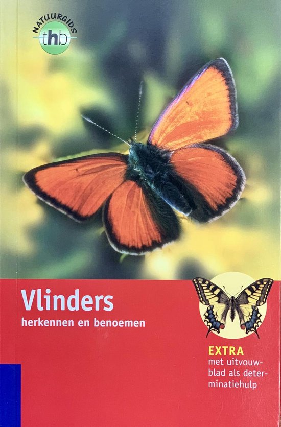 Cover van het boek 'Vlinders herkennen en benoemen' met een oranje vlinder op de voorgrond en een page-tail vlinder rechtsonder. Tekst: 'Natuurgids thb', 'Vlinders herkennen en benoemen', 'EXTRA met uitvouwblad als determinatiehulp'.