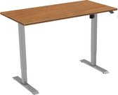 Zit-sta bureau elektrisch 1 motorig 160 x 80|Havanna |Aluminium frame