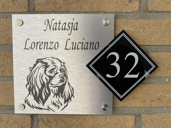 plaque signalétique porte d'entrée Cavelier roi Charles chien