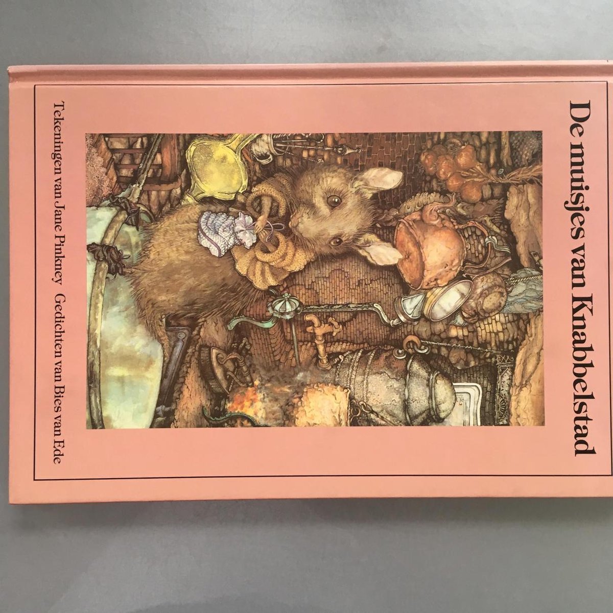 De muisjes van Knabbelstad - Jane Pinkney