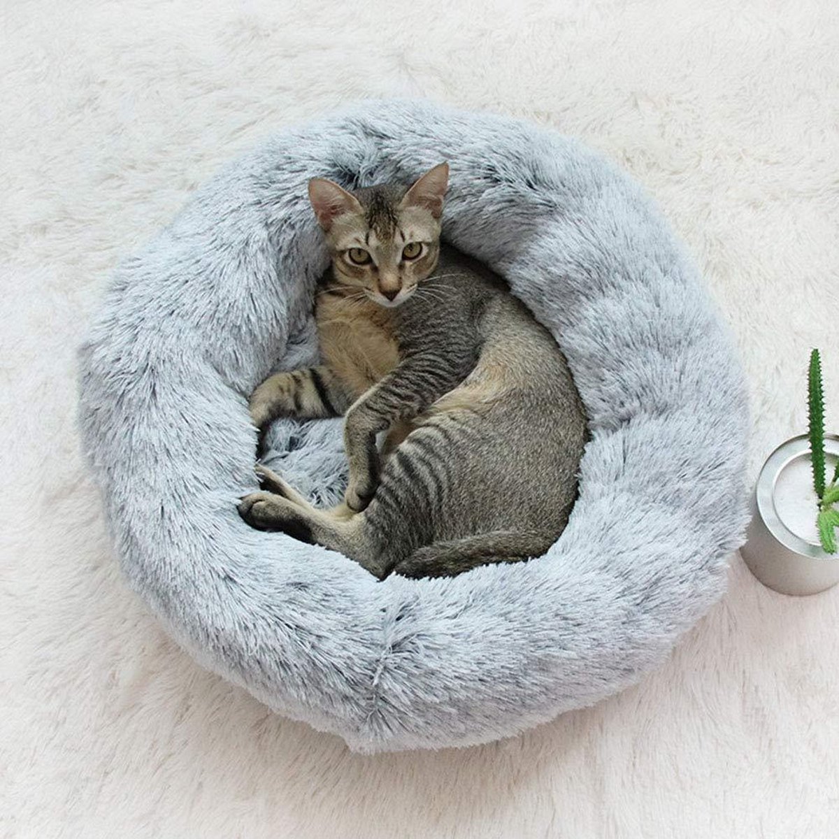 Rond huisdierbed voor honden en katten, zacht pluche gravende grot capuchon kattenbed donut, pluizig rond faux bont slaapbed, anti-slip zelfverwarmend bed voor kat puppy, M-50cm, groen
