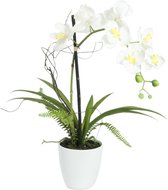 Europalms Orchidee kunstplant met pot - Witte bloemen - 62cm hoog