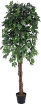 Europalms Ficus boom Multi-Stam, 180 cm - Kunstplant