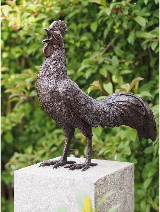 Tuinbeeld - bronzen beeld - Haan - Bronzartes - 50 cm hoog | bol.com