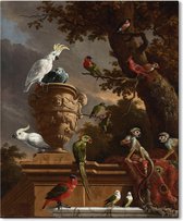 Canvas Schilderij - De Menagerie - Melchior d'Hondecoeter - 40x50 cm