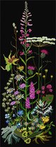 Thea Gouverneur - Borduurpakket met telpatroon - 821.05 - Voorgesorteerde DMC Garens - Wilde bloemen - Zwart Aida - 38 cm x 92 cm - DIY Kit