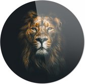 Leeuw | Lion  | 90 x 90 CM | Wanddecoratie | Schilderij | 5 mm dik plexiglas muurcirckel