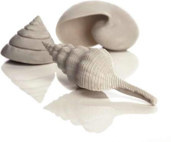 Absurd Boven hoofd en schouder strip Seashells Aquarium schelpen - Wit - 3 stuks | bol.com