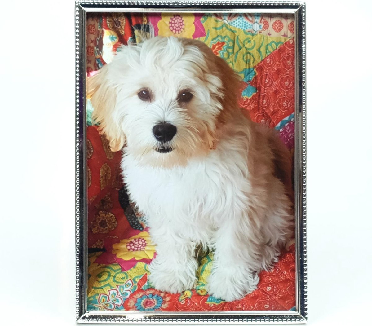 AL - Fotolijst - Zilver - Parel - 20 x 30 cm