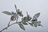 Silk-ka Kunstbloem Eucalyptus Tak Grijs-Groen-blauw 40 cm