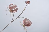 Silk-ka Kunstbloem Gloriosa Glitter Roze 80 cm