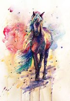 Happy Painter Diamond Painting volwassenen - Paard met kleuren - 30x40cm vierkante steentjes - diamond painting en accessoires
