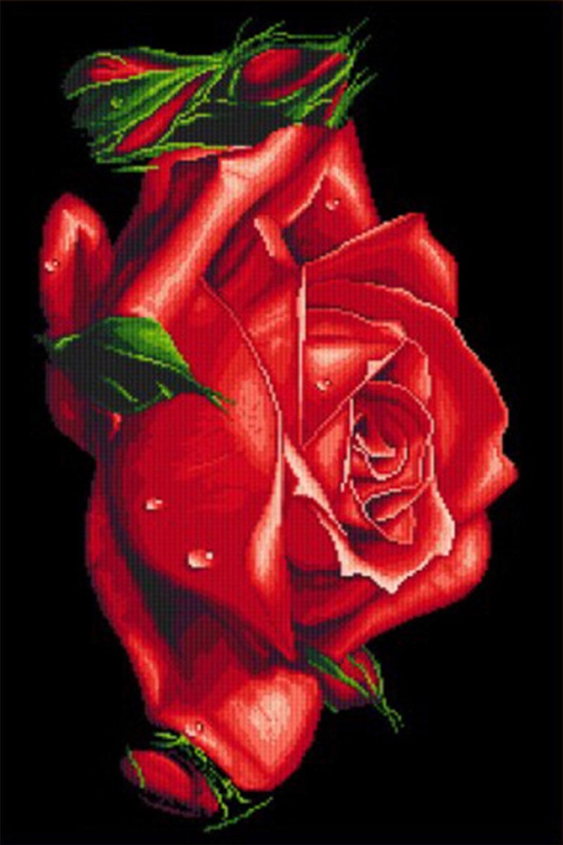 Diamond Painting Roos – 15 cm x 10 cm – Zelf Schilderijen Maken – Voor Jong & Oud – Kleuren