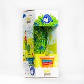 Baby Plant 'Barry' - Blauwe bessen plant | Kweek jouw eigen fruitbomen | Compenseer Co2 uitstoot met dit duurzame sinterklaas cadeau! | Vaccinium Corymbosum | Ecologisch geschenkset | Zero waste | Leer tuinieren!