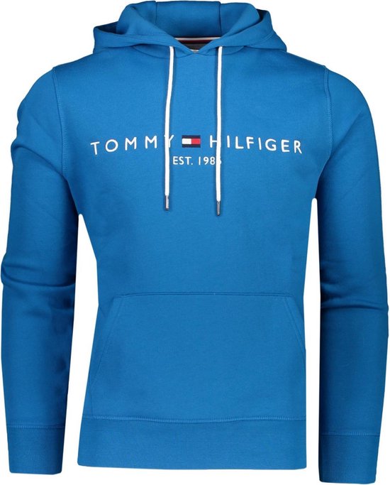 Tommy Hilfiger Hoodie Blauw Hot Sale, 54% OFF | www.bridgepartnersllc.com