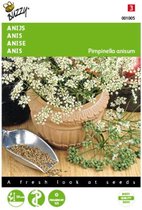 2 stuks Anijs (Pimpinella anisum)