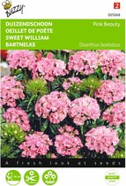 2 stuks Dianthus, Duizenschoon Pink Beauty