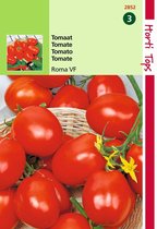 2 stuks Hortitops Tomaten Roma Vf