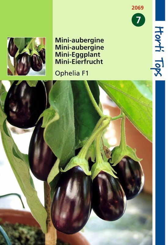Aubergine Patio Baby F1 (mini Ophelia F1)