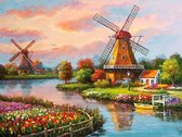 Happy Painter® Diamond Painting volwassenen - Nederlands molen landschap - 30x40cm vierkante steentjes