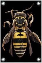 Tuinposter –Bijenlichaam op Zwarte Achtergrond– 60x90cm Foto op Tuinposter (wanddecoratie voor buiten en binnen)