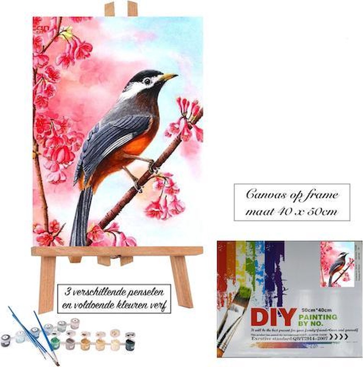 Schilderen op nummer voor volwassenen canvas op frame doek op frame