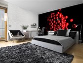 Abstract Modern Red Black Photo Wallcovering