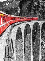 Train in The Mountains Photo Wallcovering