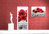 Flowers Poppies Nature Photo Wallcovering