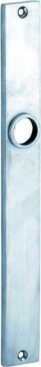 Langschild paar Bauhaus smal blind mat chroom