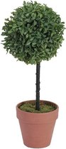 Europalms kunstplant gras  ball tree,  PE, 39cm