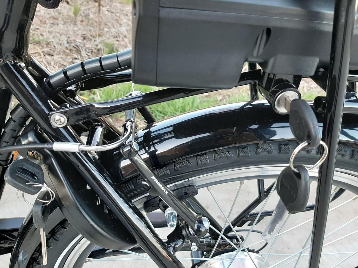 Speedy Electrische Bakfiets - Zwart