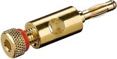 Banaan connector voor luidsprekerkabel tot 5,5 mm - metaal / verguld / rood