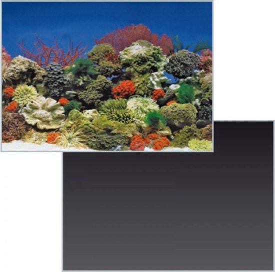 Superfish Poster 1 - 150 x 49cm - Aquarium Decoratie achterwand | bol.com