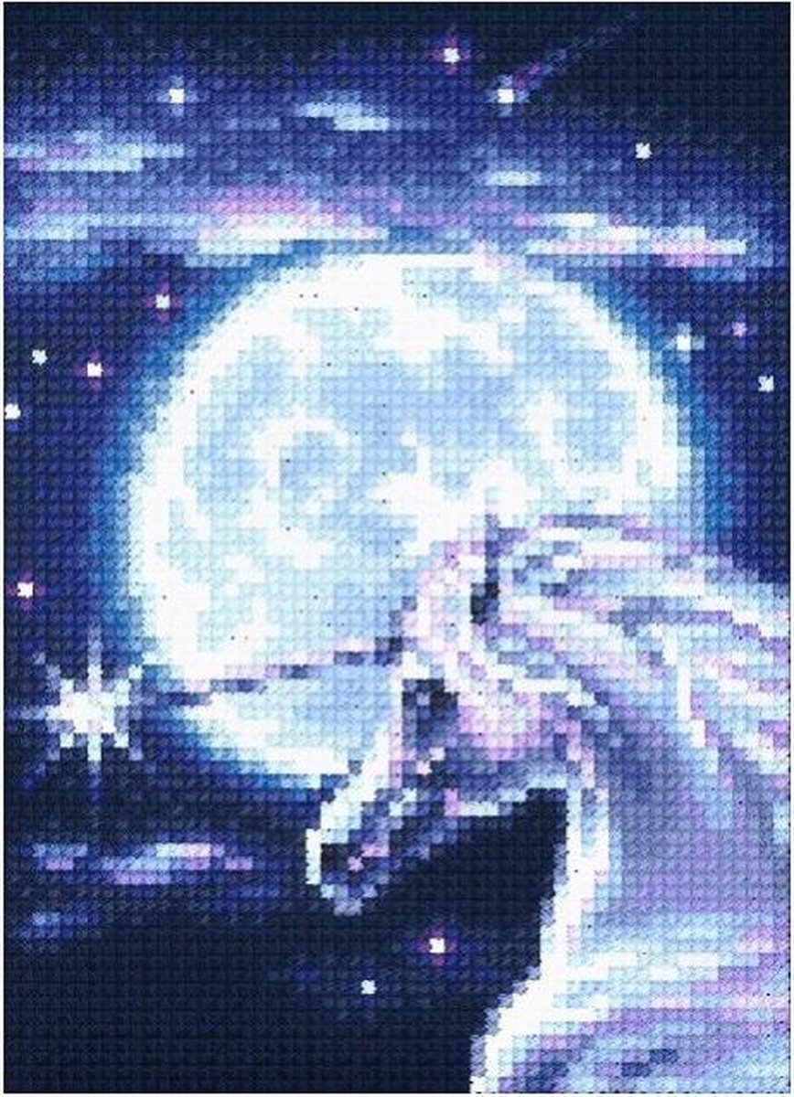 DIAMOND PAINTING UNICORN DE7057