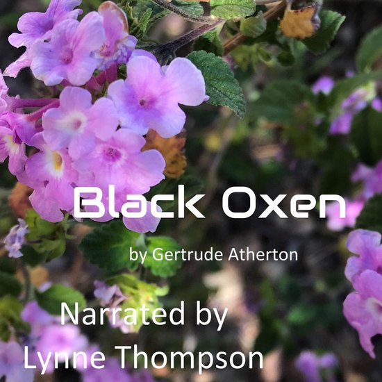 Black Oxen - cover