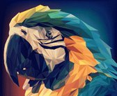 MyHobby Borduurpakket – Kleurrijke papegaai 60×50 cm - Aida stof 5,5 kruisjes/cm (14 count)
