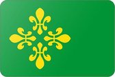 Vlag gemeente Midden-Drenthe - 200 x 300 cm - Polyester