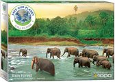 Eurographics Save the planet Rainforest - Regenwoud. Puzzel. 1000 stukjes