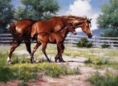 Peinture au diamant - Deux chevaux bruns dans une vallée / prairie - 40x30cm
