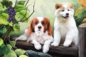 Diamond painting - Hond/puppy - Twee witte honden - 40x30cm