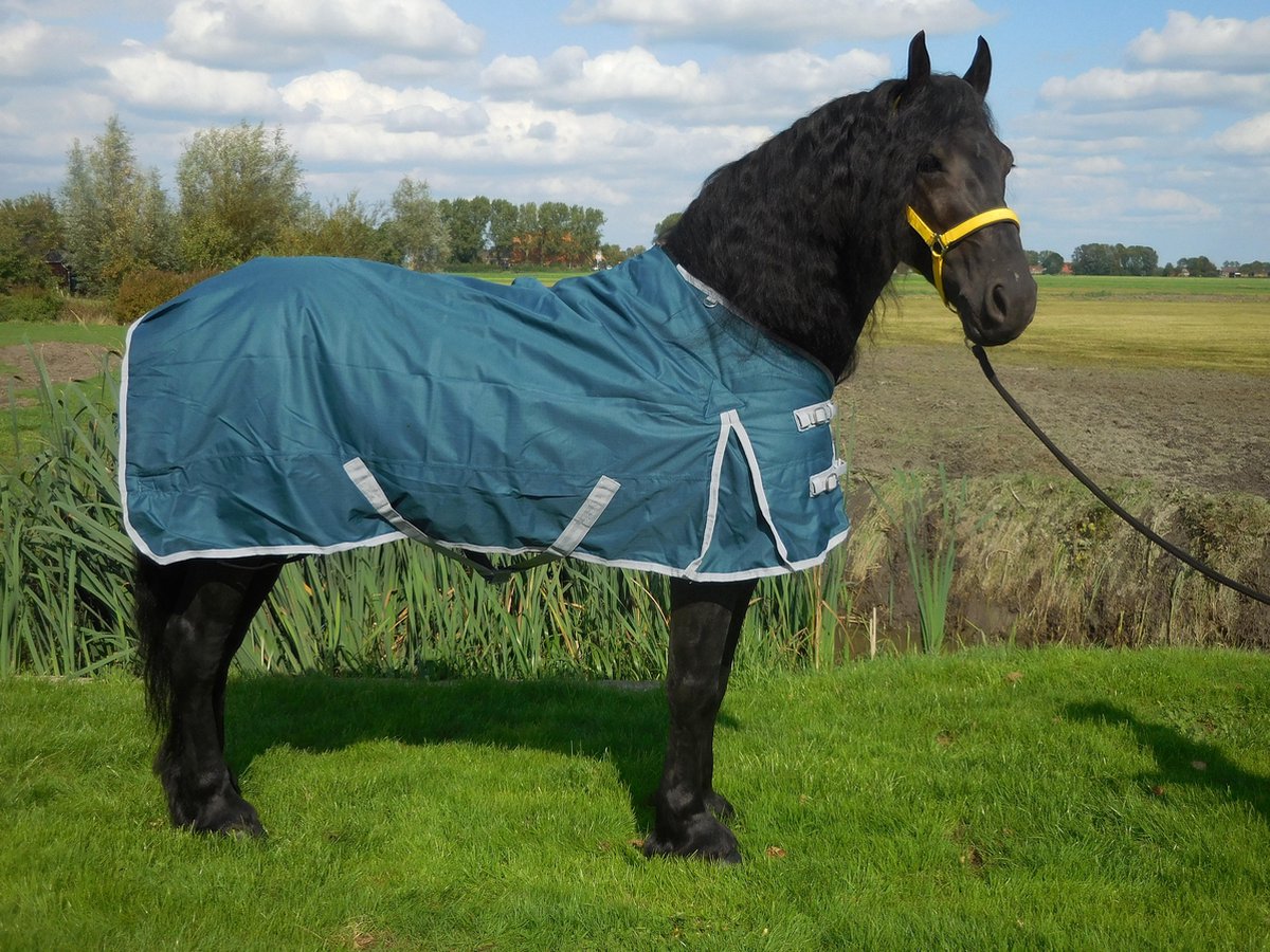 Buitendeken de luxe 450gr petrol groen paardendeken - maat 215