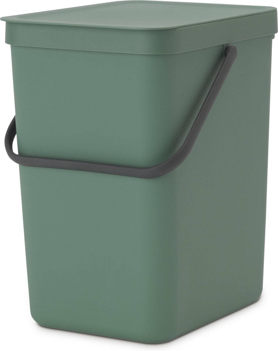Goedkoopste Brabantia Sort & Go Prullenbak - 25 liter - Fir Green