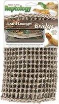 lizard lounger Brug