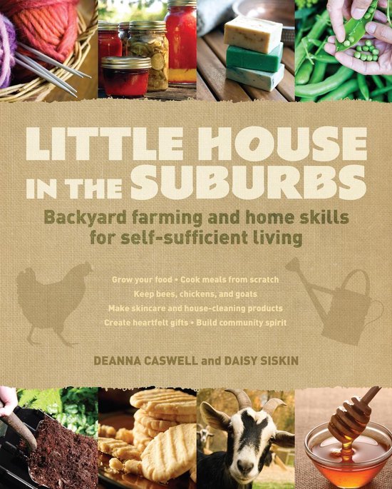 Little House In The Suburbs - cover